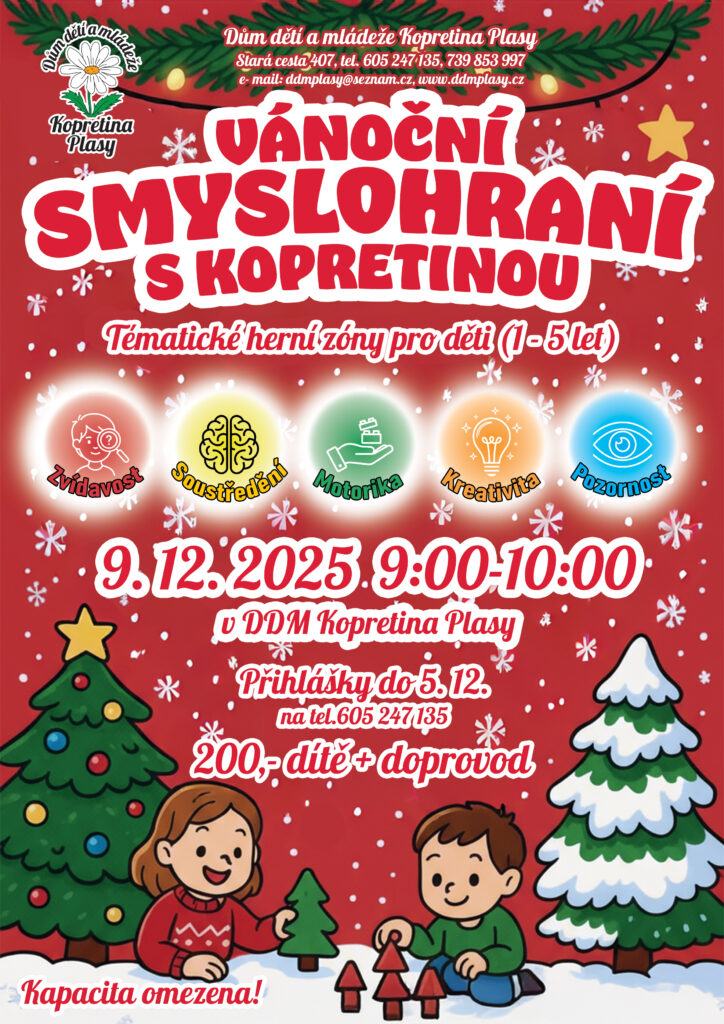 Vánoční smyslohraní s kopretinou